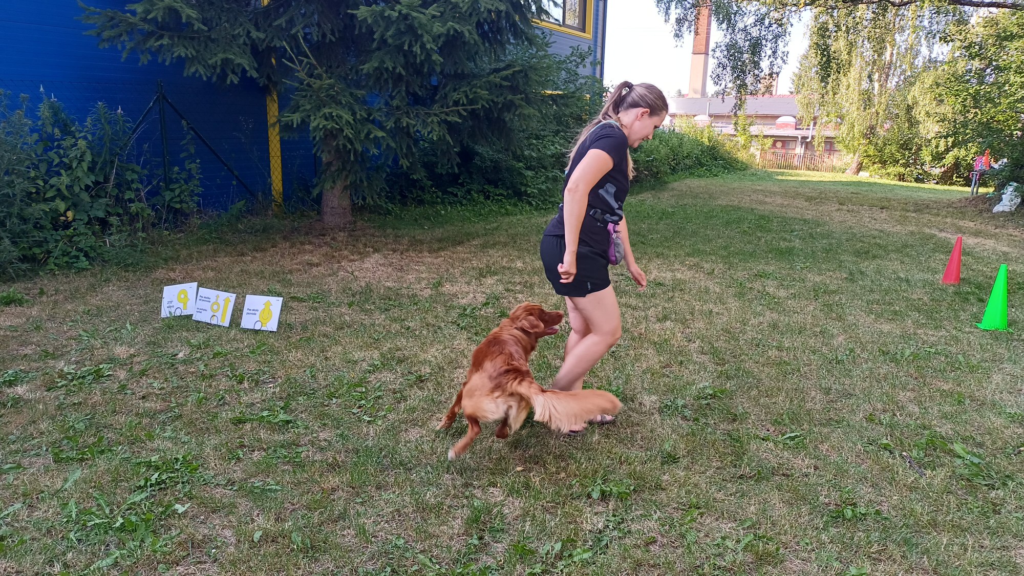 Izi — 15. 7. 2026